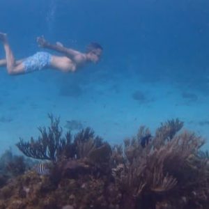Grand Cayman snorkeling tour,