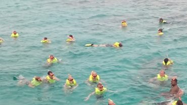 Privatesnorkeling tour falmouth jamaica