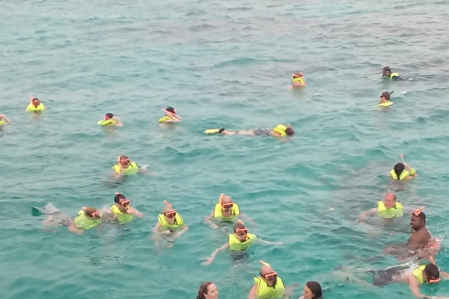 Privatesnorkeling tour falmouth jamaica