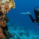 scuba diving tours falmouth jamaica cruise