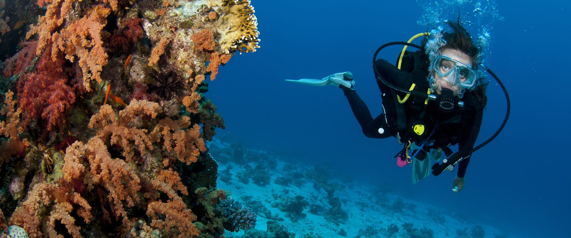 Scuba Diving Falmouth Jamaica Cruise Excursions Falmouth Shore Excursions