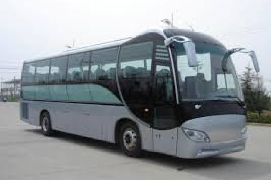 Group Bus Transportation Falmouth Jamaica groups