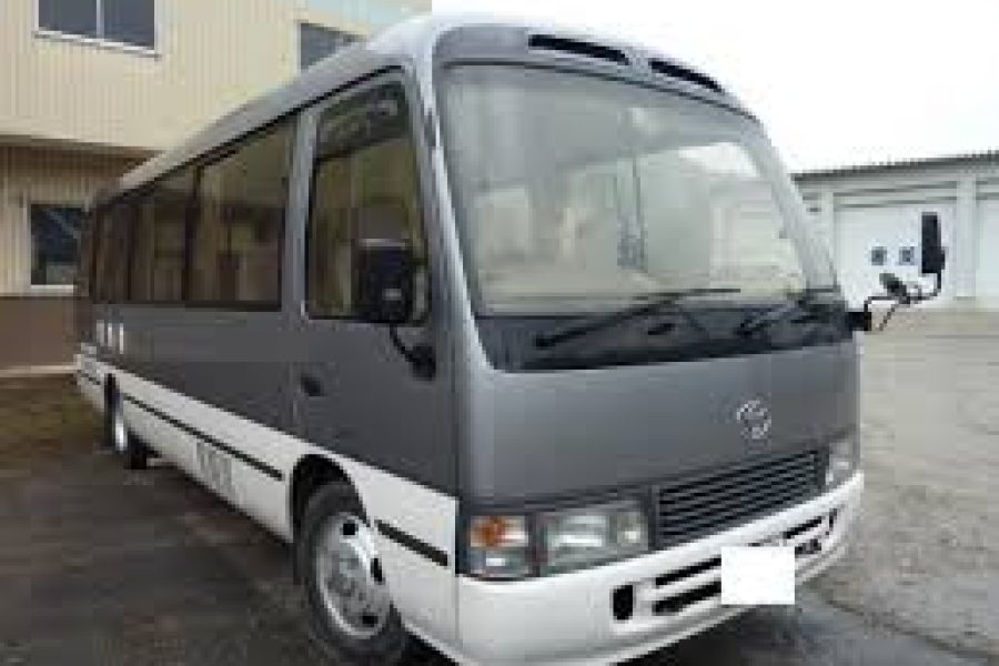 group bus falmouth jamaica