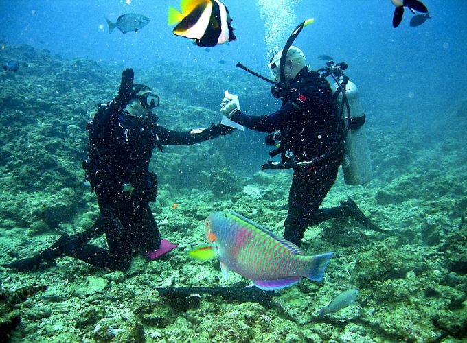 scuba diving Falmouth Jamaica