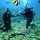 scuba diving Falmouth Jamaica