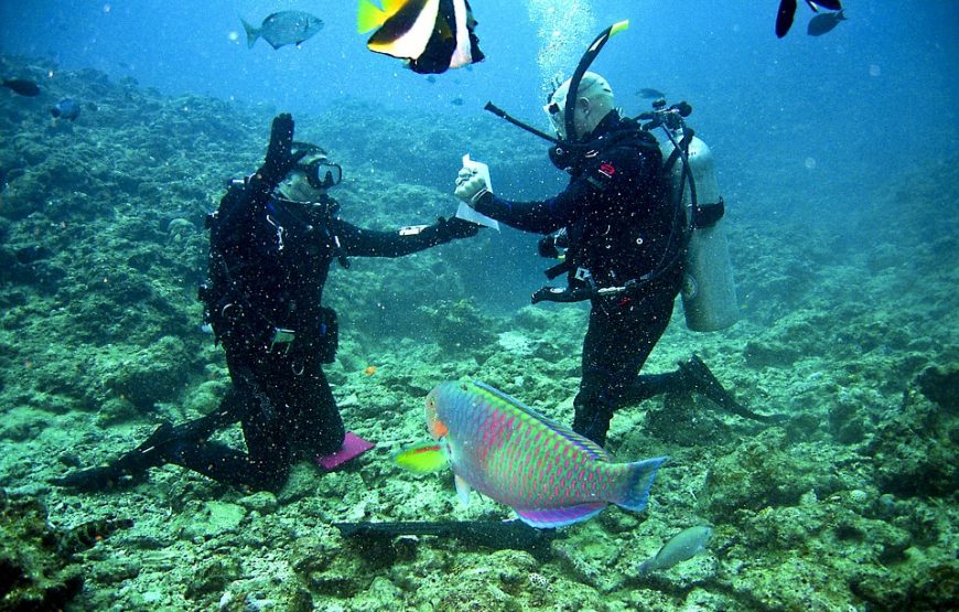 Scuba Diving Falmouth Jamaica Cruise Excursions