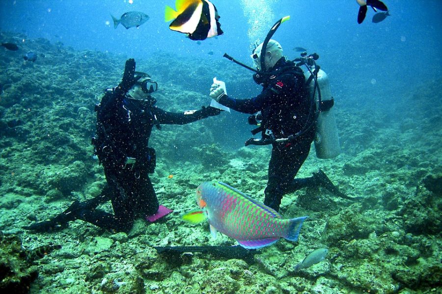 scuba diving Falmouth Jamaica