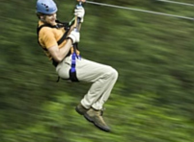 Zipline Tour Falmouth Jamaica