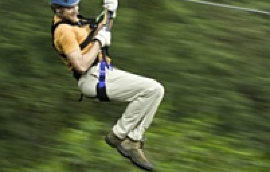 Zip Line Tour Jamaica Extreme High Mountain Zipline Adventure Canopy  Park