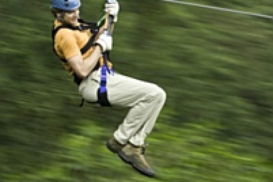 Zipline Tour Falmouth Jamaica