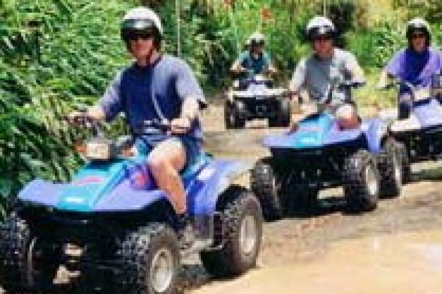 atv tour in falmouth