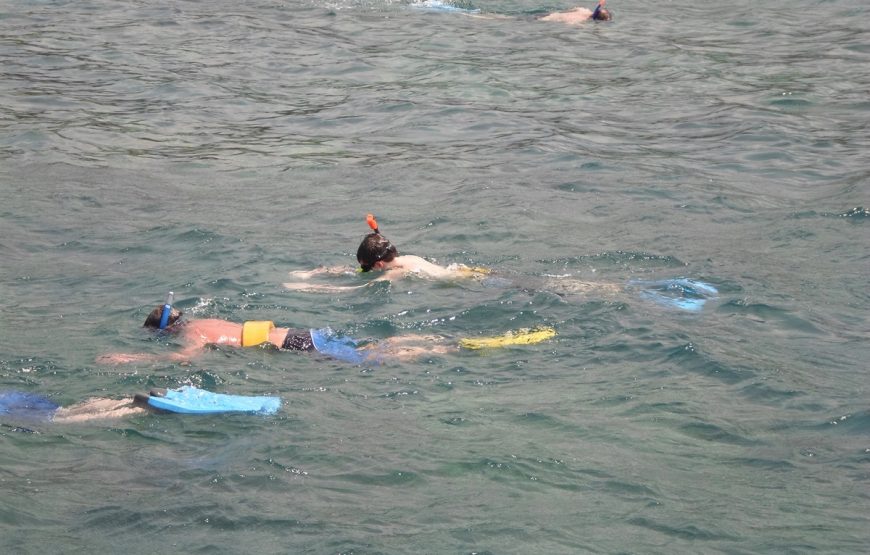 Parasailing Plus  Reef Snorkeling Speed Tubing Water Sports Combo Jamaica
