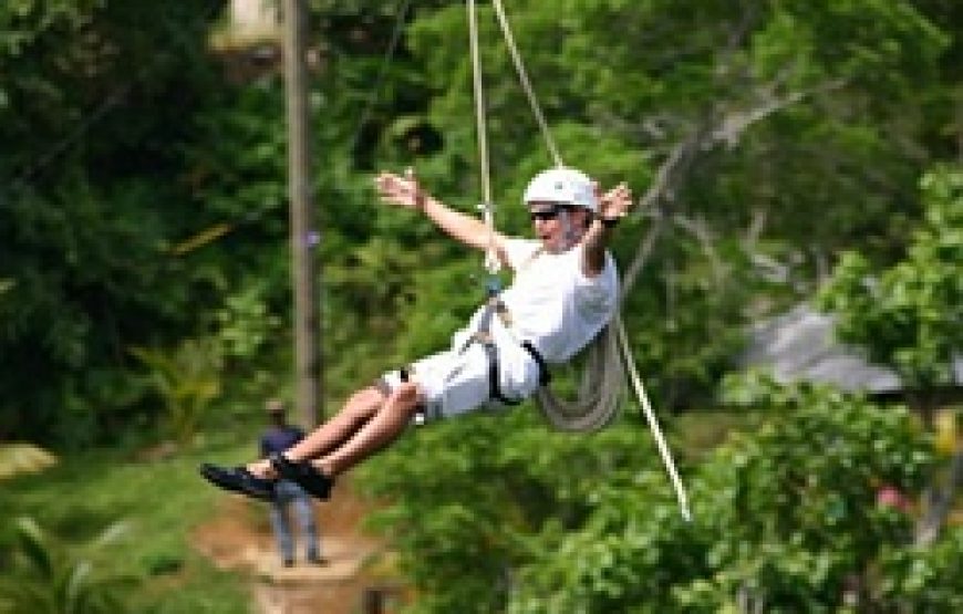 Zip Line Tour Jamaica Extreme High Mountain Zipline Adventure Canopy  Park