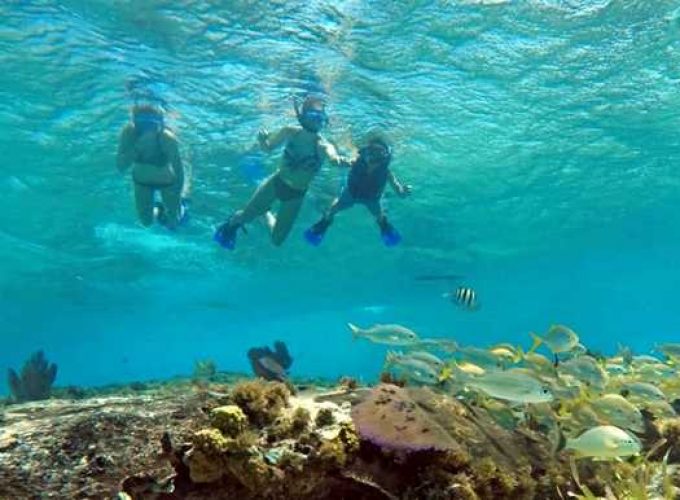 Cozumel Private snorkeling