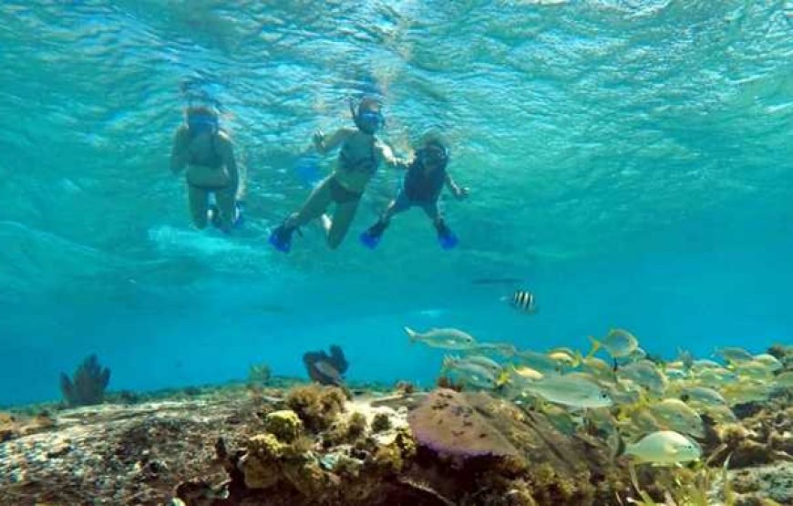 Scuba Diving Falmouth Jamaica Cruise Excursions