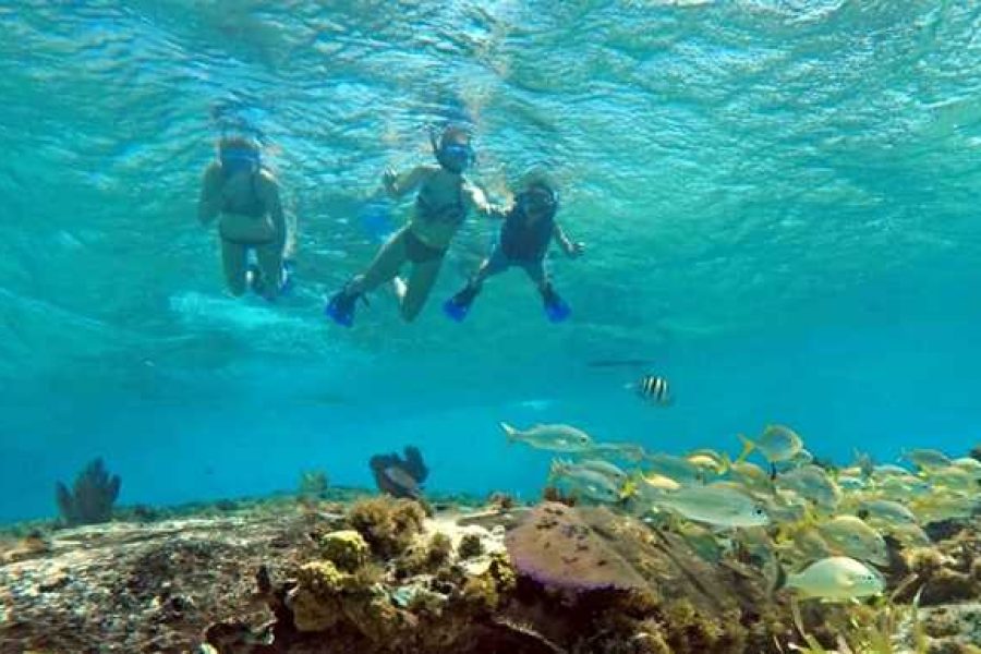 Cozumel Private snorkeling