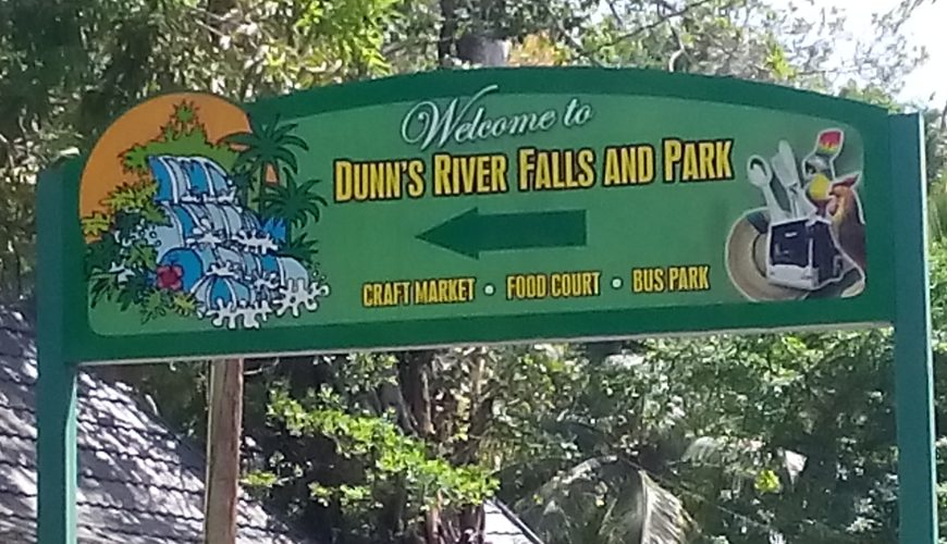 dunn river falls tour