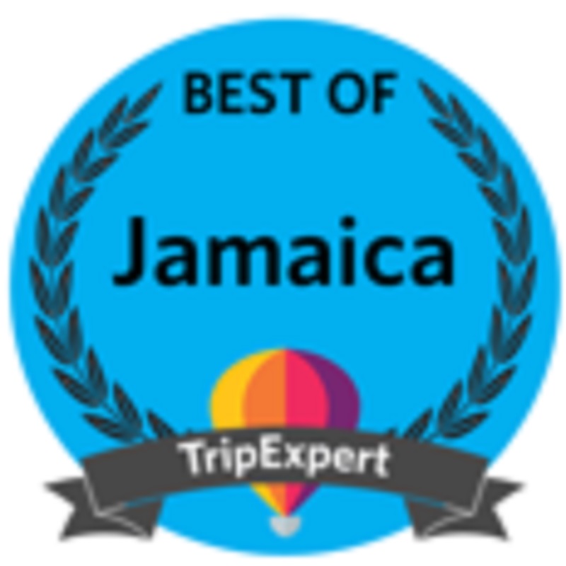 top port excursions in Falmouth Jamaica
