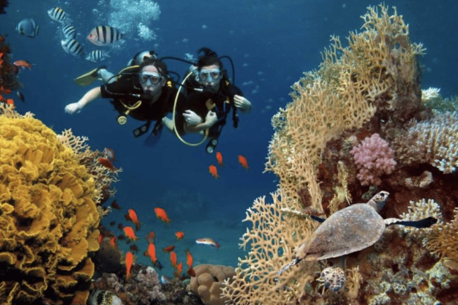 scuba diving Ocho Rios