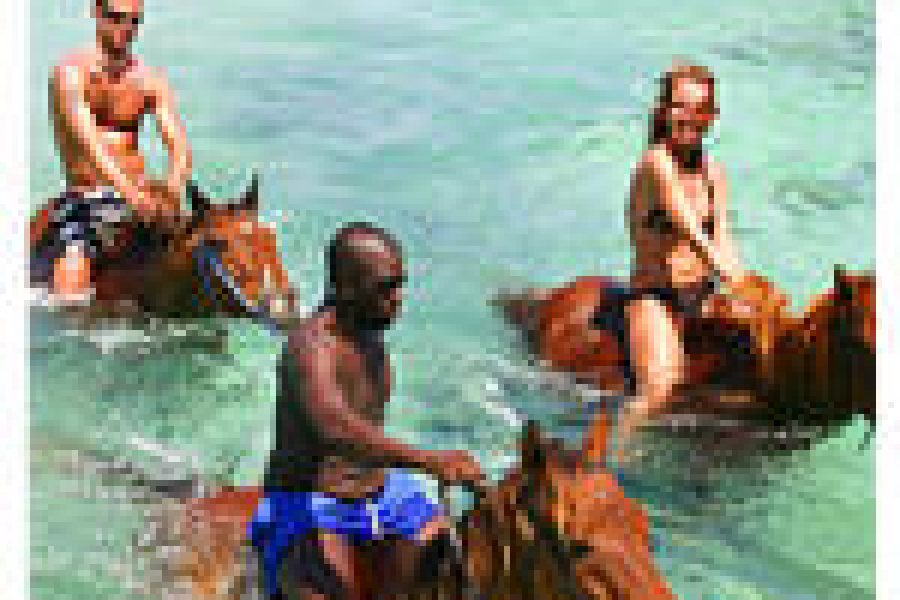 horseback riding Ocho RIOS JAMAICA