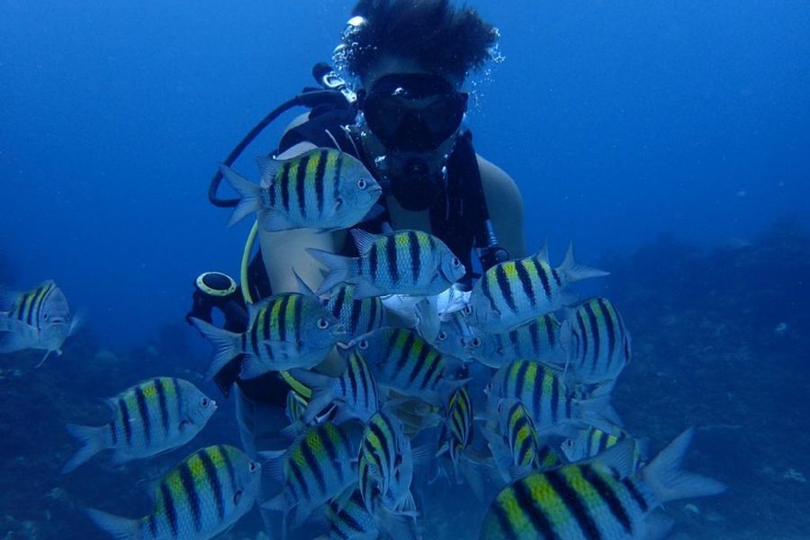 learn to dive in Ocho Rios