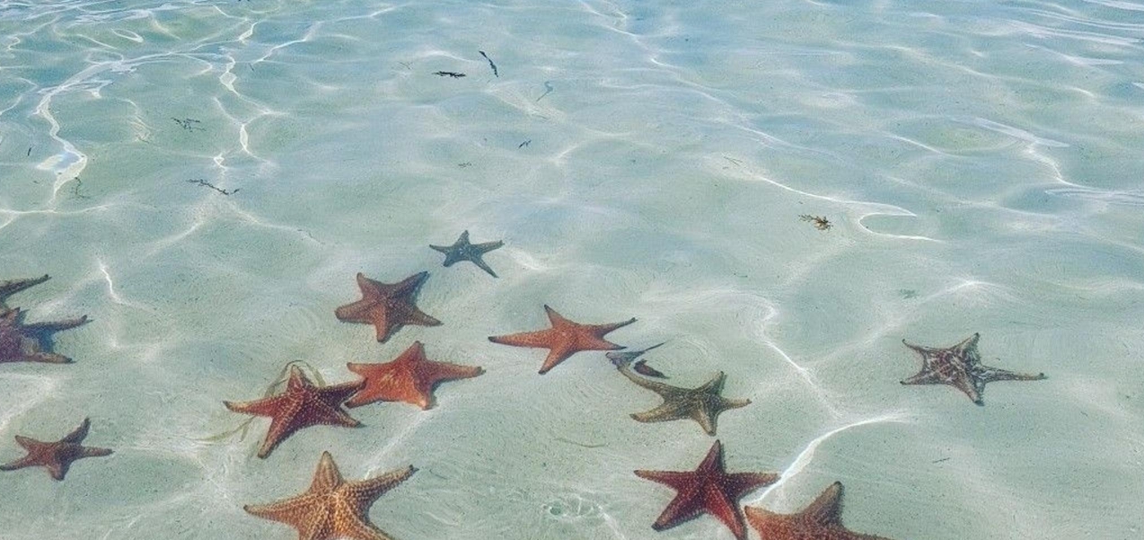 Grand Cayman boat rental with captain