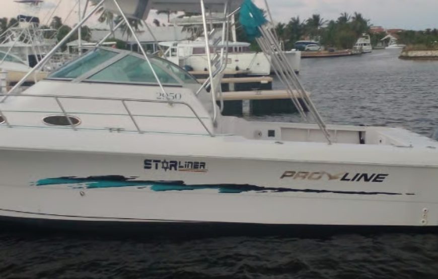 Private Stingray City & Snorkeling Charter Grand Cayman