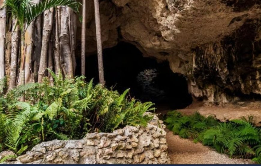 Cayman Crystal Caves Tour from George Town | Grand Cayman