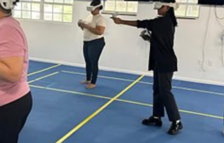 Grand Cayman VR Adventure: Private Virtual Reality Experience for Groups