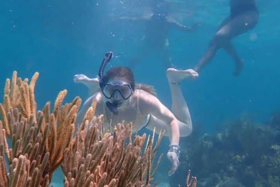 Grand Cayman private boat tour
