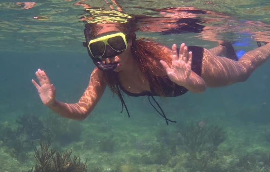 Private Coral Gardens Snorkeling Tour | Grand Cayman