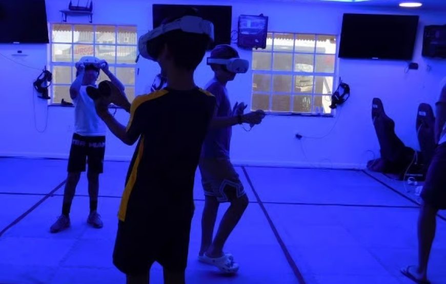 Grand Cayman VR Adventure: Private Virtual Reality Experience for Groups