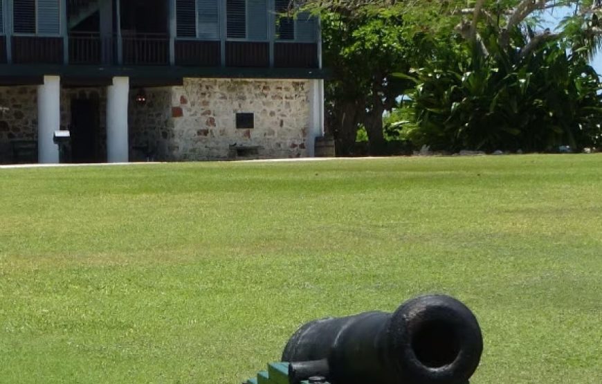 Grand Cayman Distillery Tour & Gin Tasting: